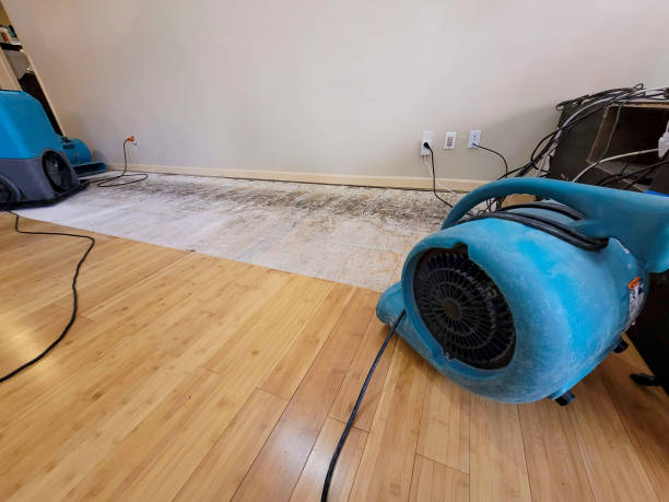 Professional Structural Drying technician working in Saint Thomas, MO